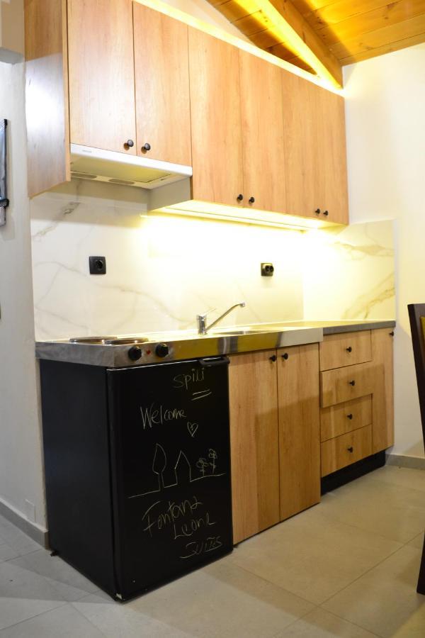 Fontana Leone Apartment Spilion Exterior photo